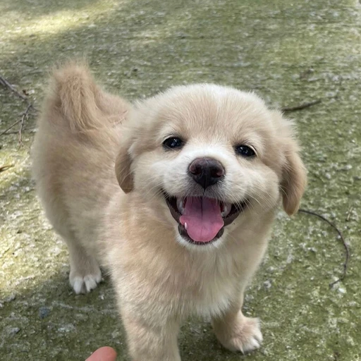 김승민