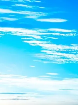 StumpyHorse111의 君 を 守 る ＿＿