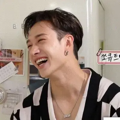 CoarseGlass6476의 Bang Chan