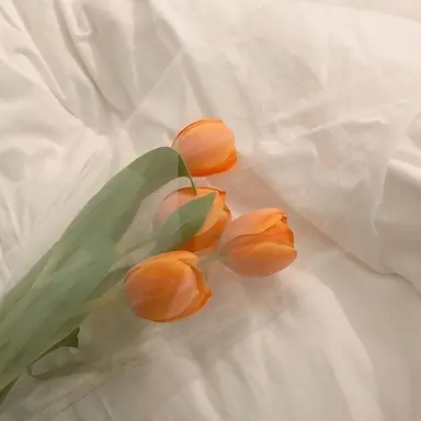 Profile image of 박덕개