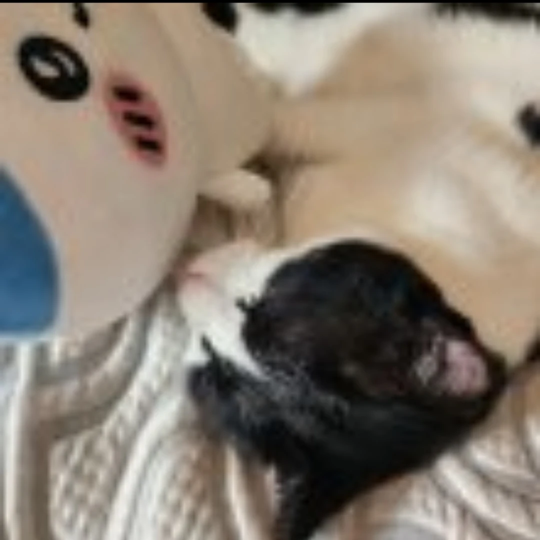 집 가고싶다