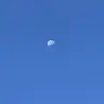 Profile image of 視聴者
