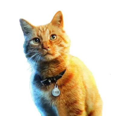 Profile image of Goose