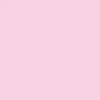 Profile image of 菊