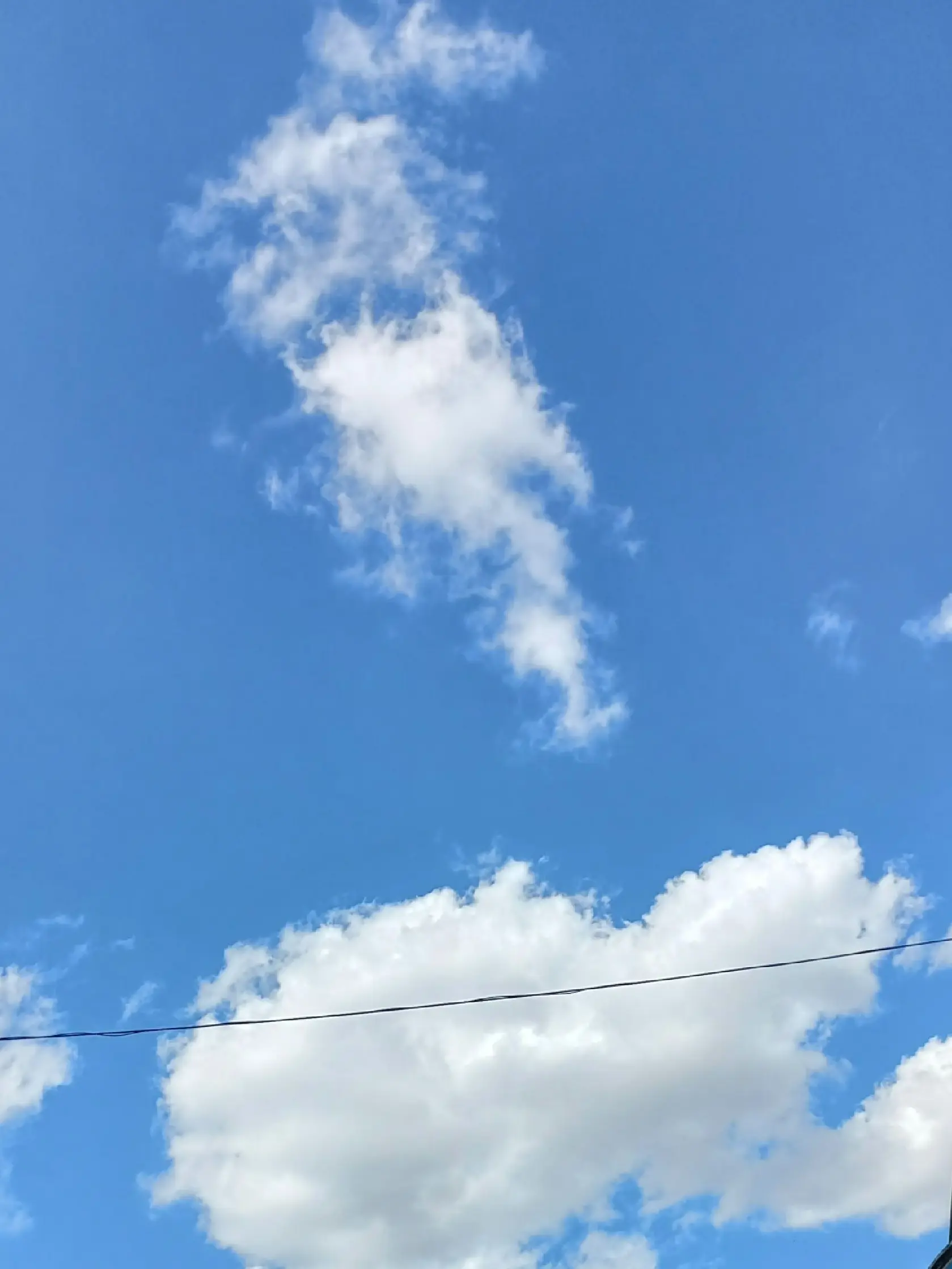 Snow_Japduk_0916의 "지금 여기 아직 푸름이 살아."