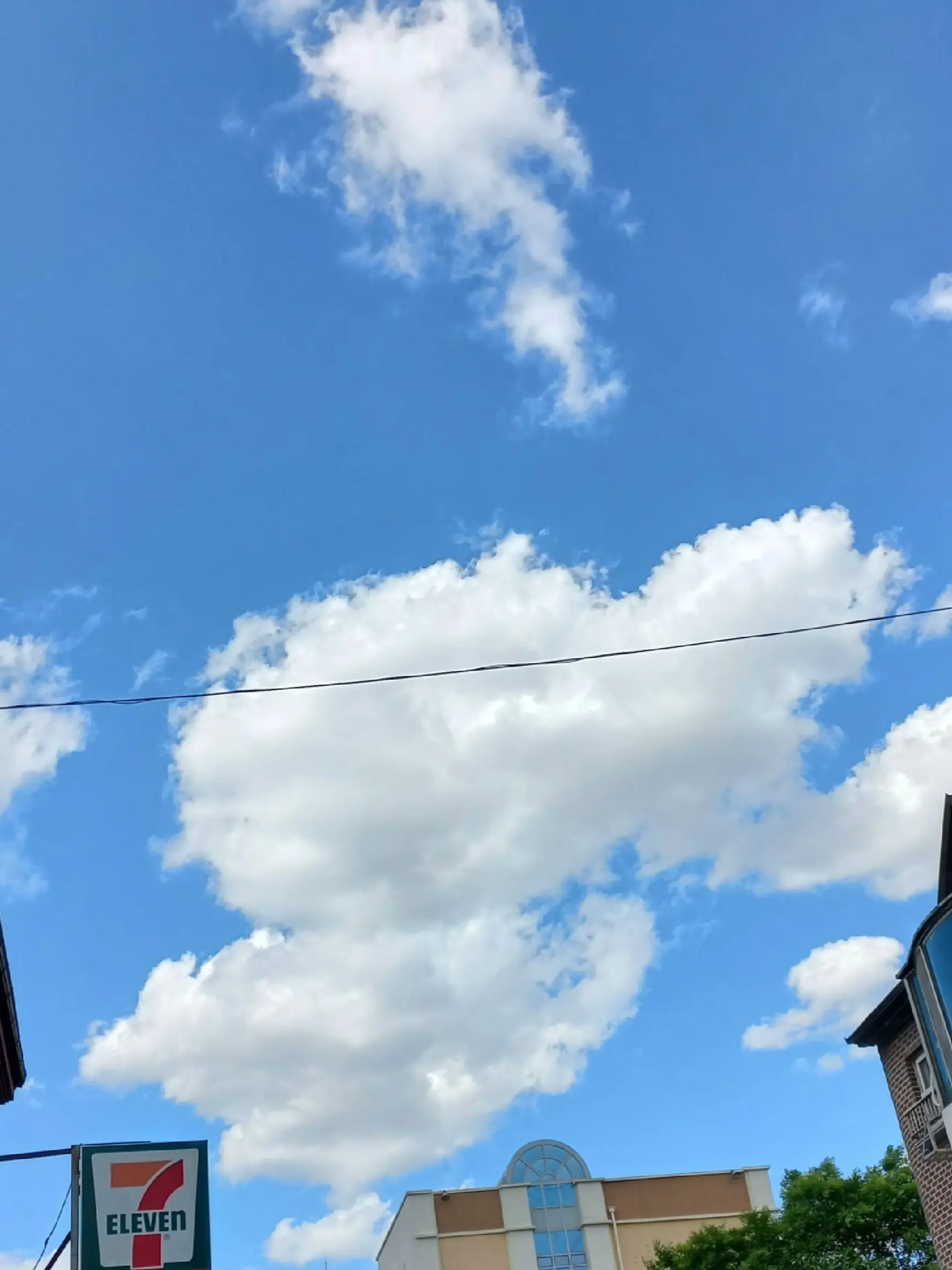 Snow_Japduk_0916의 "지금 여기 아직 푸름이 살아."