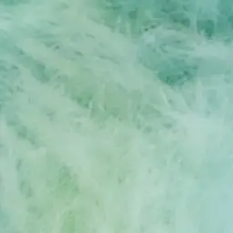 Profile image of 뉴비