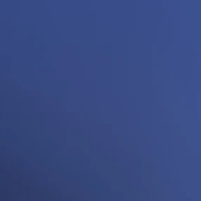 게스트1337