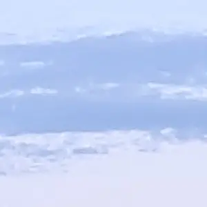 Profile image of 듀세카르