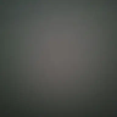 Profile image of 선생님