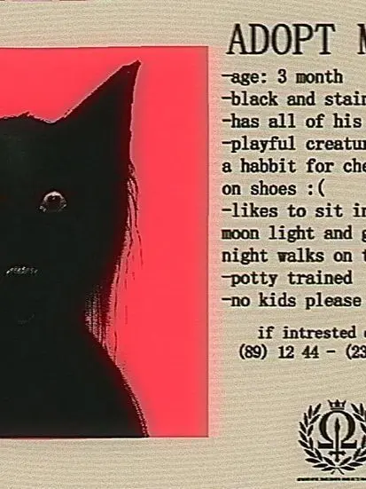 Bit3의 The Cat