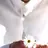 김도영