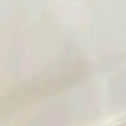 Profile image of 채스터