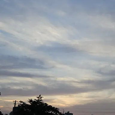 Profile image of 벨