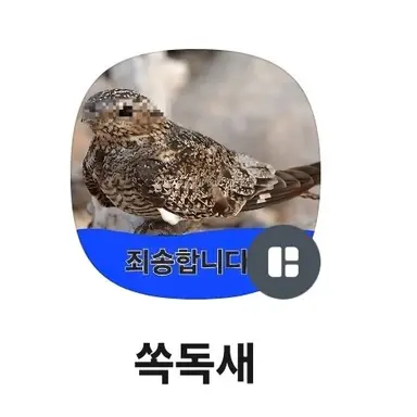 Profile image of 쏙독새