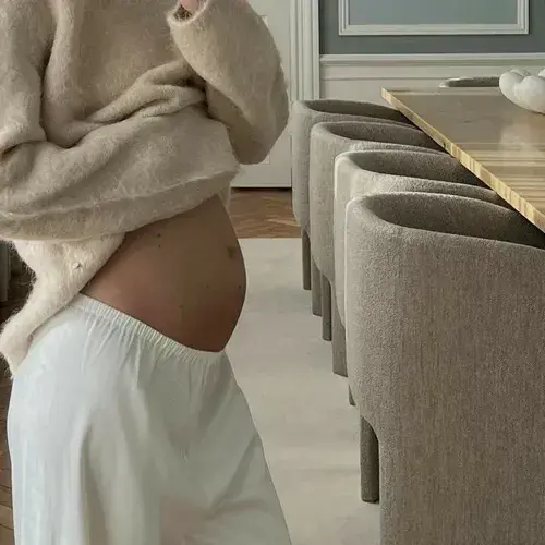 CroakyTapir6317의 pregnancy