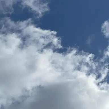 Profile image of MJH