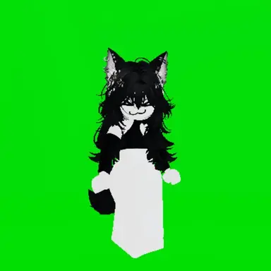 Profile image of Black cat