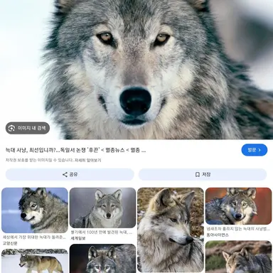 Profile image of 늑대