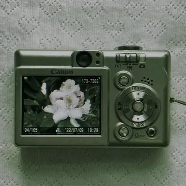 Profile image of 정 공룡