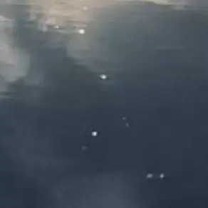 Profile image of 寺西拓人