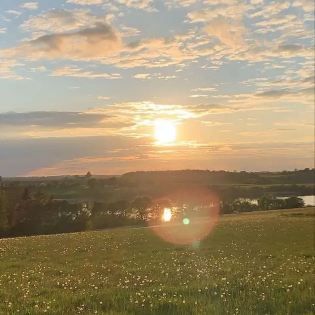 rlaalrlaalsk의 참교육
