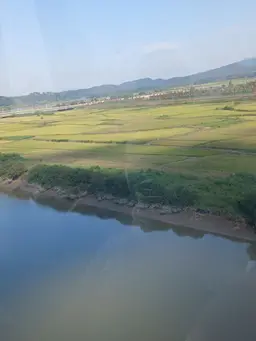 Profile image of 뉴비
