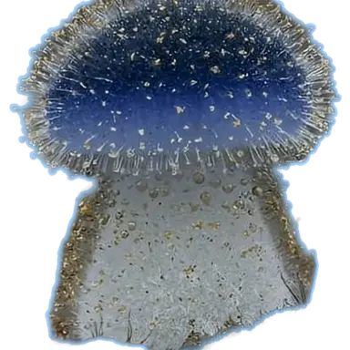 Profile image of 말량