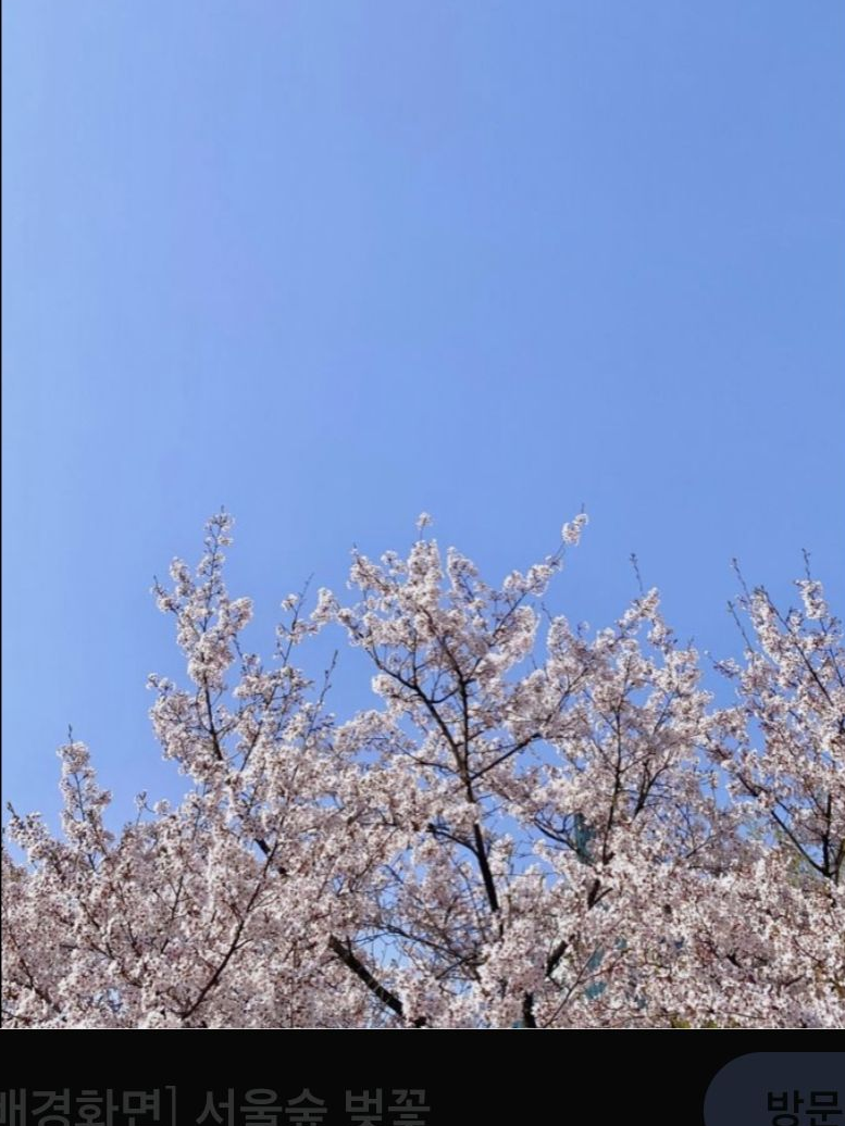 {{그가 떠났어.}} 대표 이미지