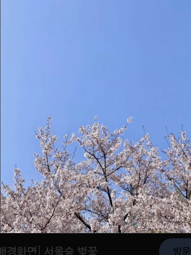 Shizeno0224의 {{그가 떠났어.}}