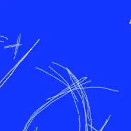 Profile image of 緋八マナ