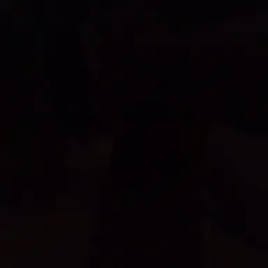 Profile image of 優