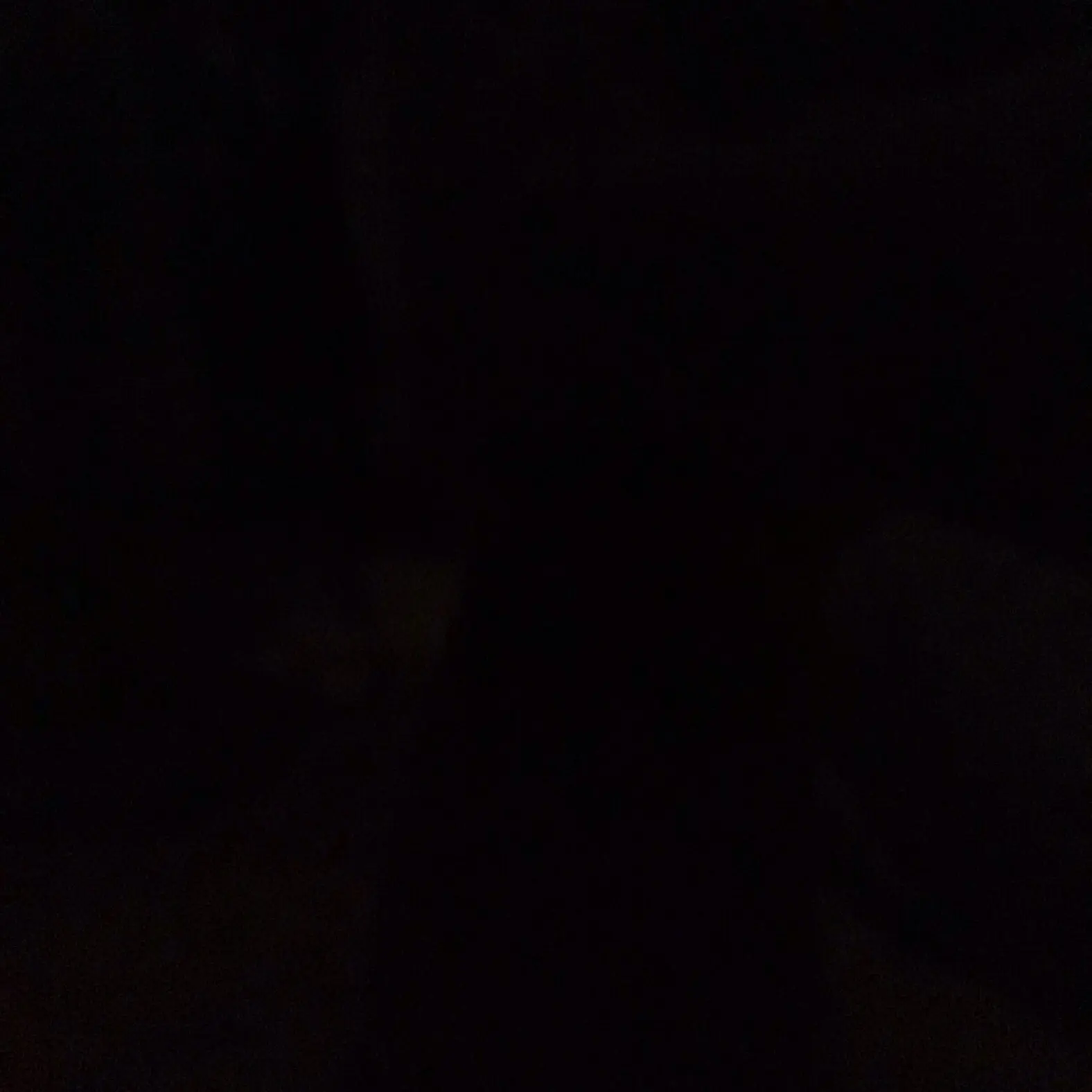 Rurudesuyo의 余命一ヶ月