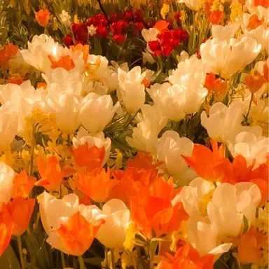 Profile image of 박덕개