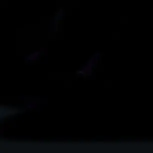 65e91e27의 윤동희