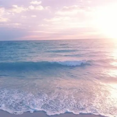 Profile image of 서하