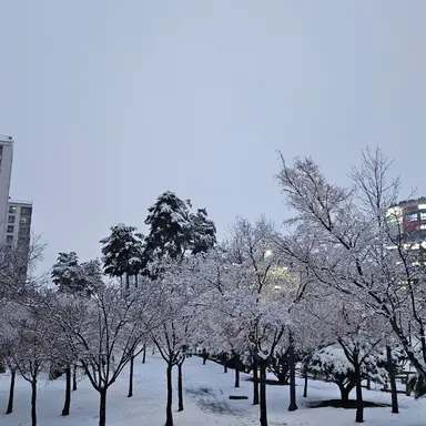 Profile image of 서진