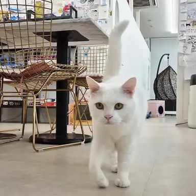 Profile image of 푸딩