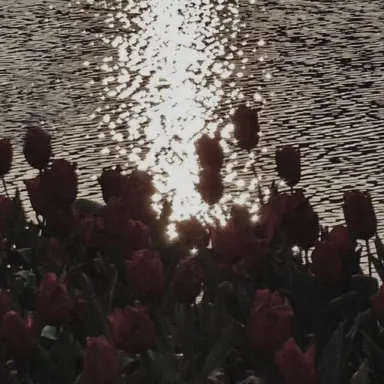 Profile image of 벨키