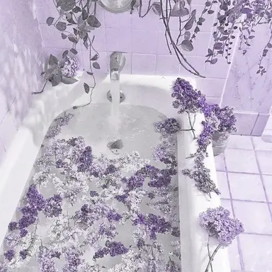 Profile image of 멜로우