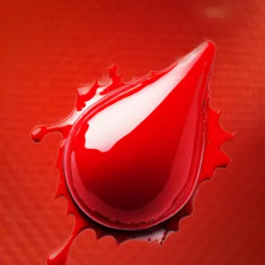 Profile image of 쿨키드
