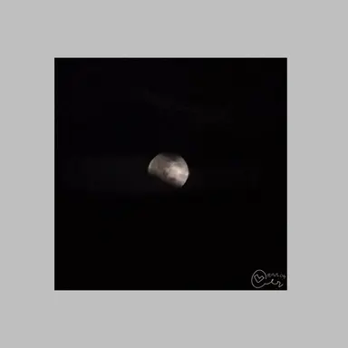 Profile image of 플리파클립 작가