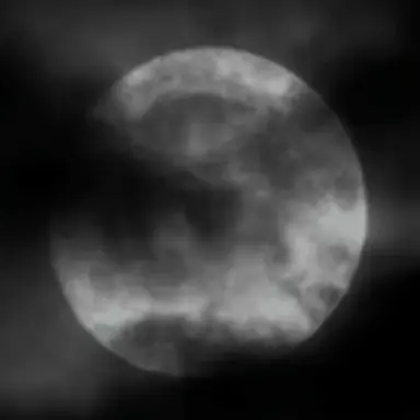 Profile image of Stro