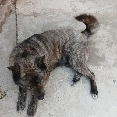 Profile image of 유기사