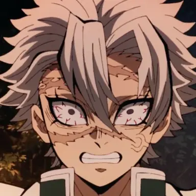 Profile image of 시나즈가와 사네미