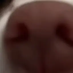 Profile image of 최여운