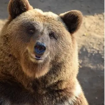 ZestyTang6480의 스키즈&데이식스