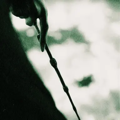 Profile image of Lord Voldemort
