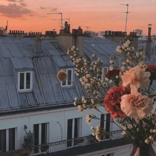 VainSpray3107의 백지헌