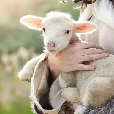 Profile image of 셀라